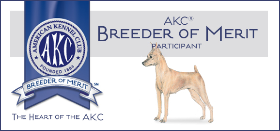 AKC Breeder of Merit Participant