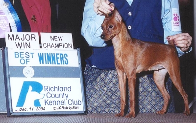 Arym's Main Street Attraction