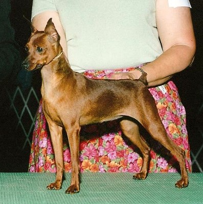 FreeSpirit's Coca-Cola Cherry 