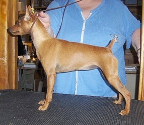 Wannabee Patsy’s Packin’ Dbl D’s 