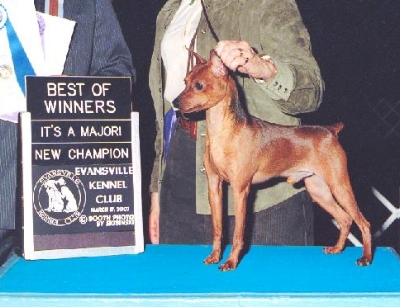 FreeSpirit's Coca-Cola Classic 