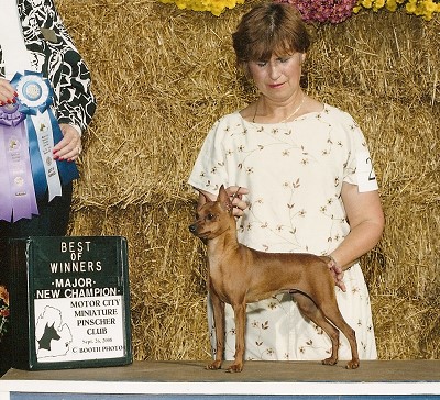 FreeSpirit's Simply Irresistible