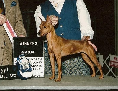 Sorita's Husqvarna-V-Freespirit