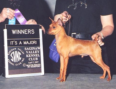 Timbear Crk Un4getable Freespirit